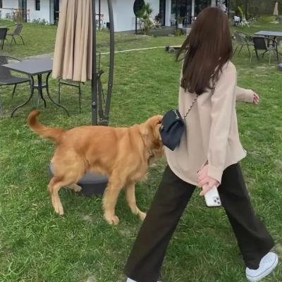 炎与女